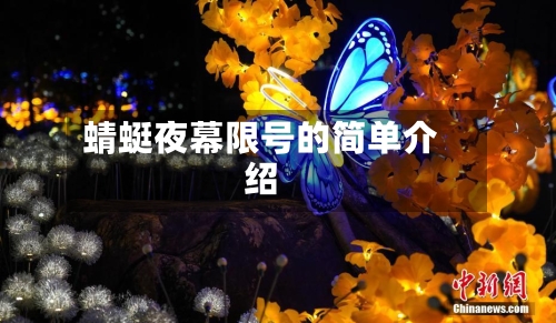 蜻蜓夜幕限号的简单介绍-第3张图片