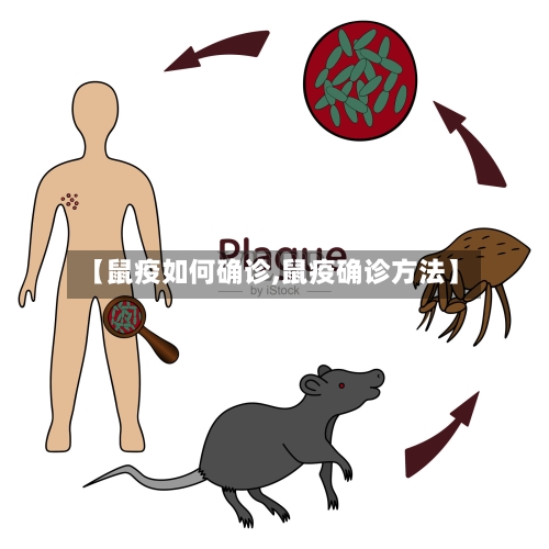 【鼠疫如何确诊,鼠疫确诊方法】-第1张图片
