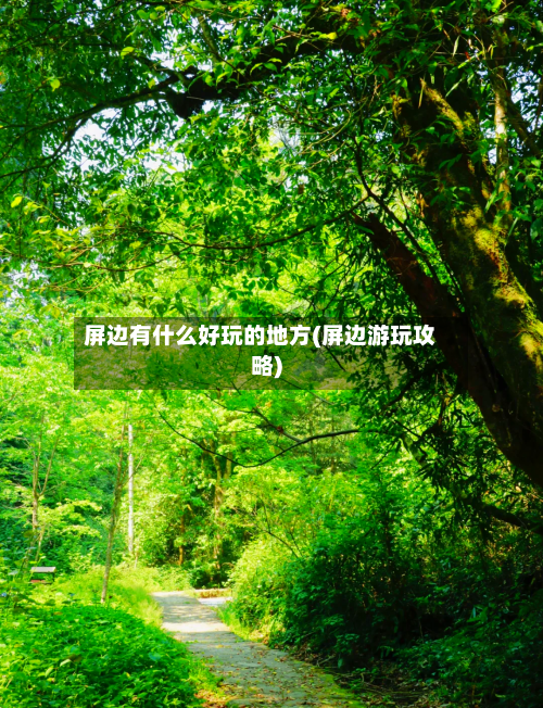 屏边有什么好玩的地方(屏边游玩攻略)-第1张图片