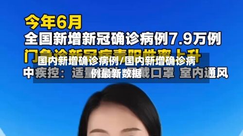 国内新增确诊病例/国内新增确诊病例最新数据-第3张图片