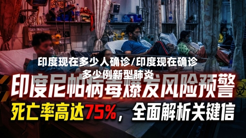 印度现在多少人确诊/印度现在确诊多少例新型肺炎-第1张图片