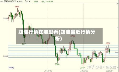 郑油行情在那里看(郑油最近行情分析)