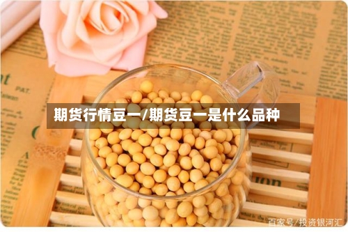 期货行情豆一/期货豆一是什么品种
