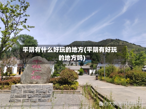 平阴有什么好玩的地方(平阴有好玩的地方吗)