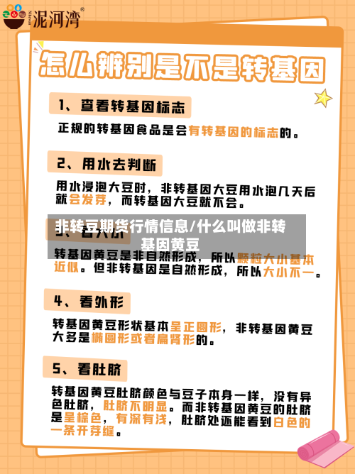非转豆期货行情信息/什么叫做非转基因黄豆
