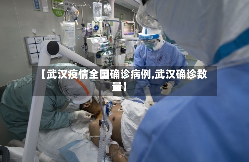 【武汉疫情全国确诊病例,武汉确诊数量】-第2张图片