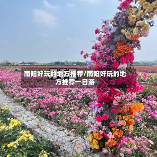 南阳好玩的地方推荐/南阳好玩的地方推荐一日游