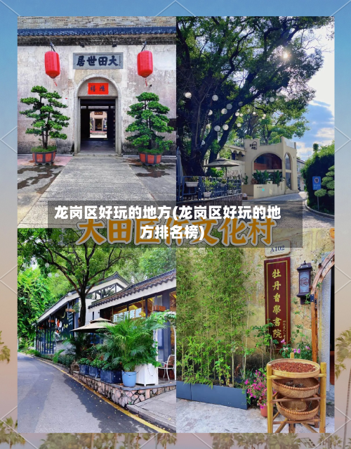 龙岗区好玩的地方(龙岗区好玩的地方排名榜)-第3张图片