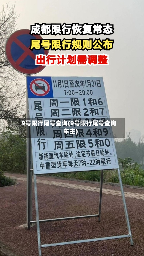 9号限行尾号查询(9号限行尾号查询车主)