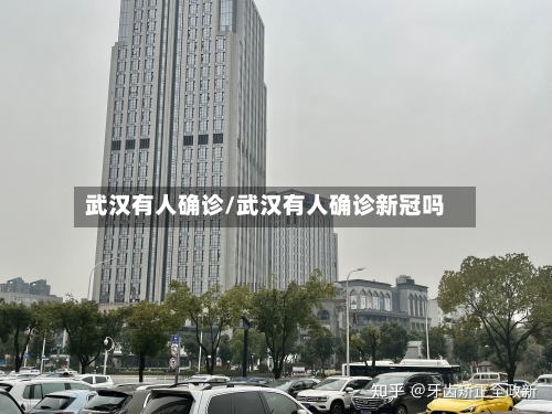 武汉有人确诊/武汉有人确诊新冠吗-第2张图片