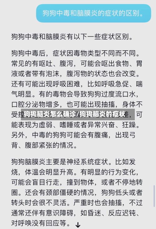 狗狗脑炎怎么确诊/狗狗脑炎的症状