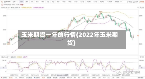玉米期货一年的行情(2022年玉米期货)-第3张图片