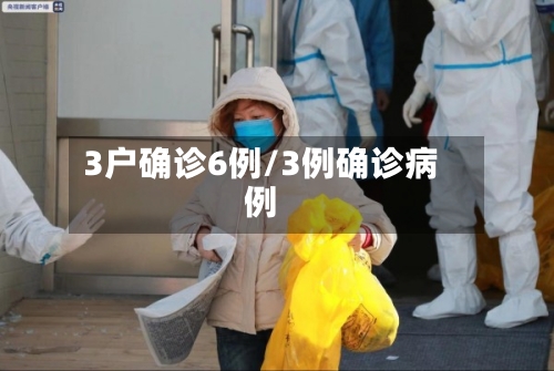 3户确诊6例/3例确诊病例