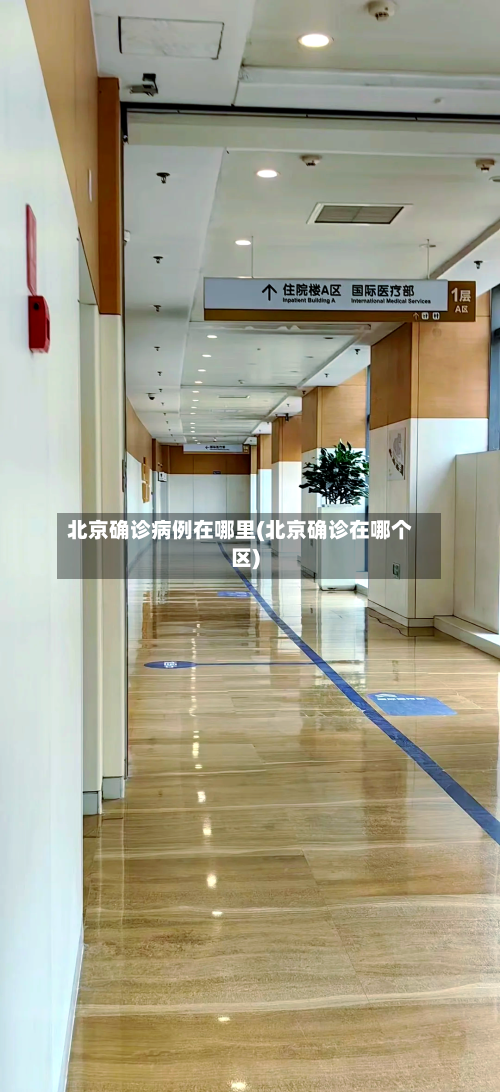 北京确诊病例在哪里(北京确诊在哪个区)
