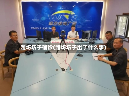 潍坊坊子确诊(潍坊坊子出了什么事)