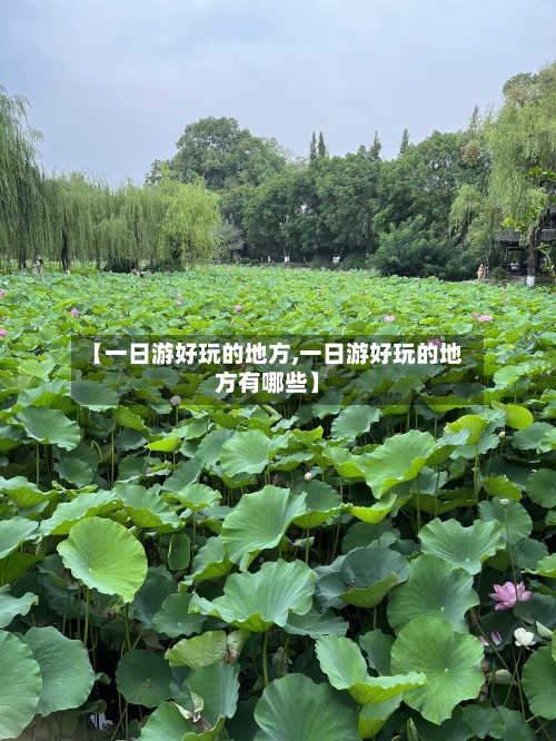 【一日游好玩的地方,一日游好玩的地方有哪些】-第2张图片