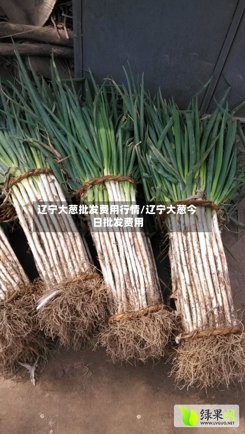 辽宁大葱批发费用行情/辽宁大葱今日批发费用
