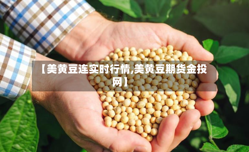 【美黄豆连实时行情,美黄豆期货金投网】-第3张图片