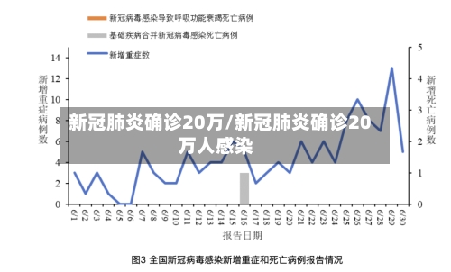 新冠肺炎确诊20万/新冠肺炎确诊20万人感染-第2张图片