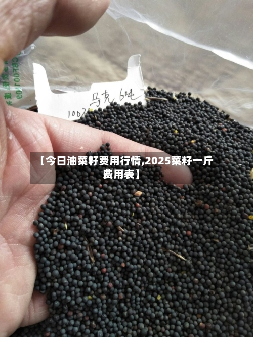 【今日油菜籽费用行情,2025菜籽一斤费用表】