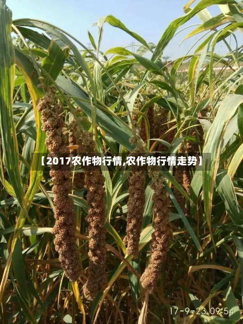 【2017农作物行情,农作物行情走势】