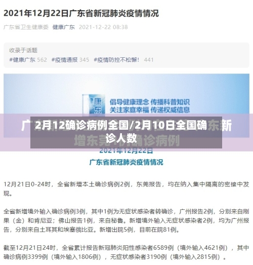 2月12确诊病例全国/2月10日全国确诊人数