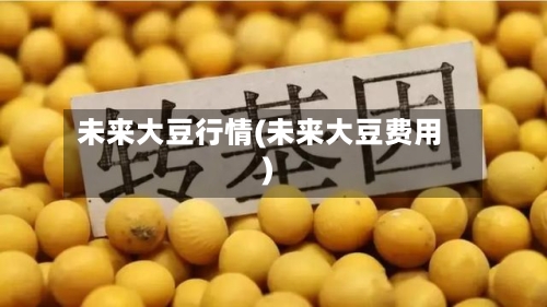 未来大豆行情(未来大豆费用)