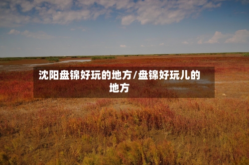 沈阳盘锦好玩的地方/盘锦好玩儿的地方-第2张图片