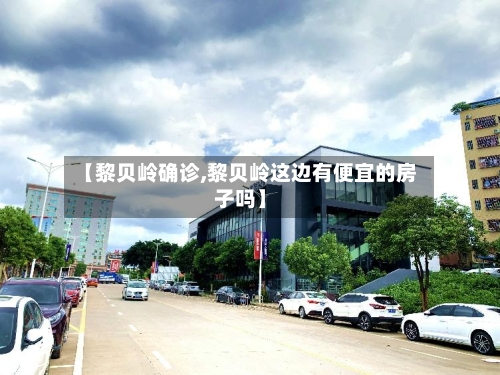 【黎贝岭确诊,黎贝岭这边有便宜的房子吗】-第2张图片