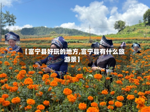 【富宁县好玩的地方,富宁县有什么旅游景】