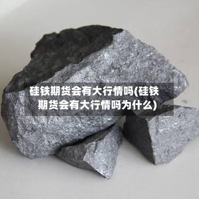 硅铁期货会有大行情吗(硅铁期货会有大行情吗为什么)-第2张图片