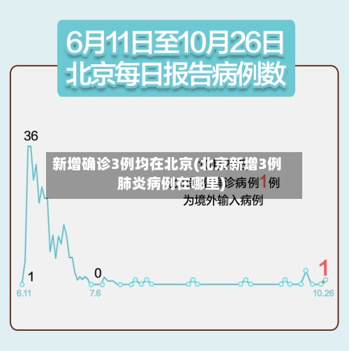 新增确诊3例均在北京(北京新增3例肺炎病例在哪里)
