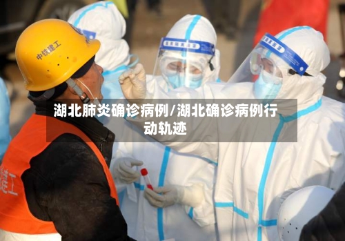 湖北肺炎确诊病例/湖北确诊病例行动轨迹