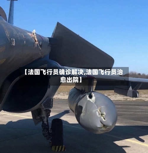【法国飞行员确诊解决,法国飞行员治愈出院】-第2张图片