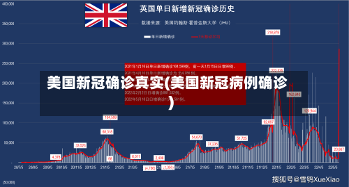 美国新冠确诊真实(美国新冠病例确诊)-第3张图片