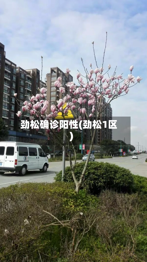 劲松确诊阳性(劲松1区)
