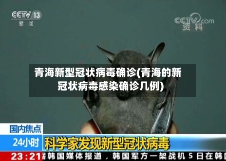 青海新型冠状病毒确诊(青海的新冠状病毒感染确诊几例)-第1张图片