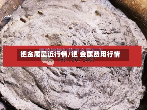 钯金属最近行情/钯 金属费用行情-第2张图片