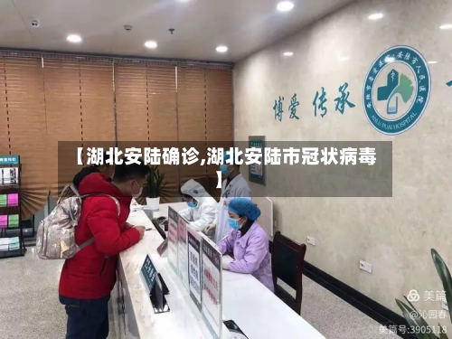 【湖北安陆确诊,湖北安陆市冠状病毒】