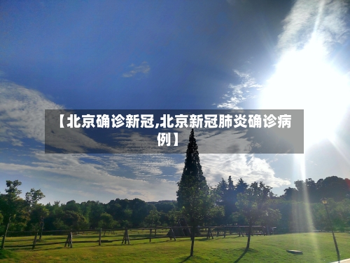 【北京确诊新冠,北京新冠肺炎确诊病例】