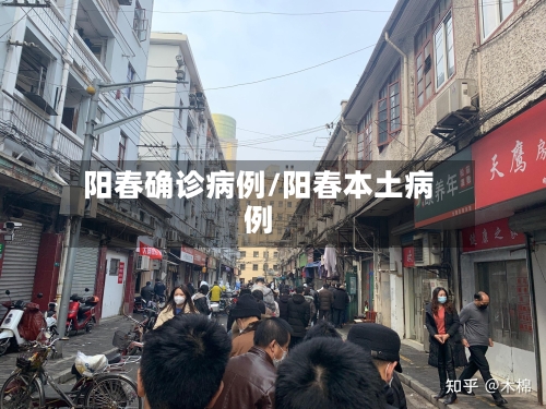 阳春确诊病例/阳春本土病例