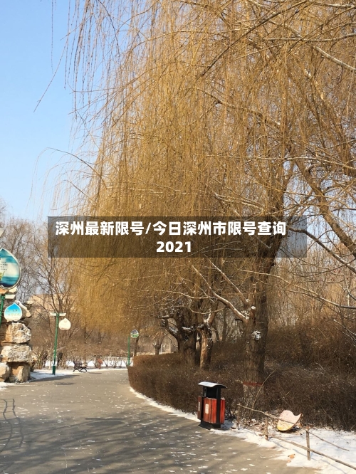 深州最新限号/今日深州市限号查询2021-第2张图片