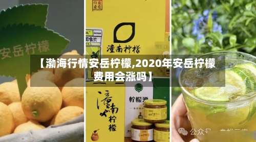 【渤海行情安岳柠檬,2020年安岳柠檬费用会涨吗】-第2张图片