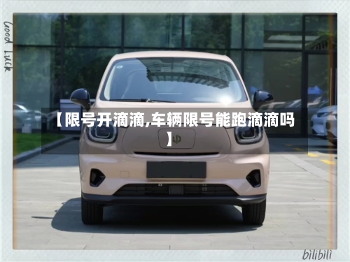 【限号开滴滴,车辆限号能跑滴滴吗】