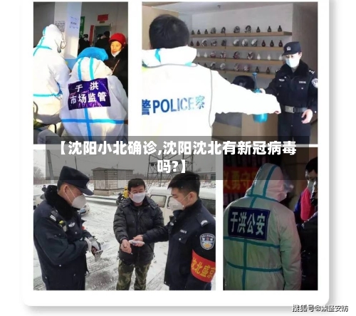 【沈阳小北确诊,沈阳沈北有新冠病毒吗?】-第3张图片