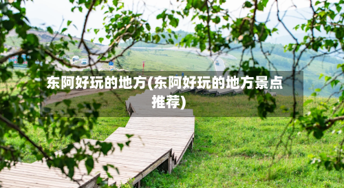 东阿好玩的地方(东阿好玩的地方景点推荐)-第3张图片