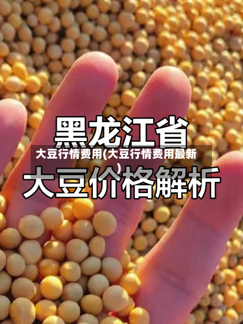 大豆行情费用(大豆行情费用最新)