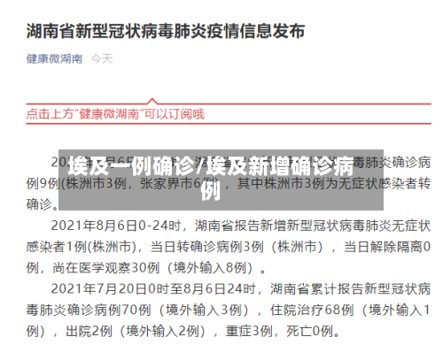 埃及一例确诊/埃及新增确诊病例