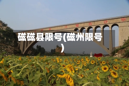 磁磁县限号(磁州限号)