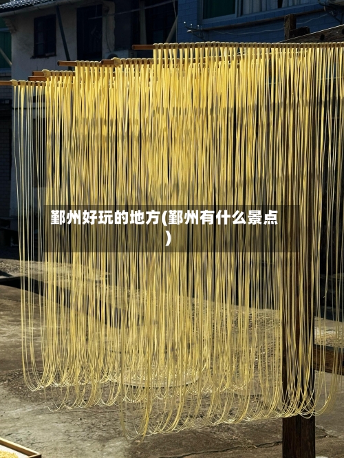 鄞州好玩的地方(鄞州有什么景点)